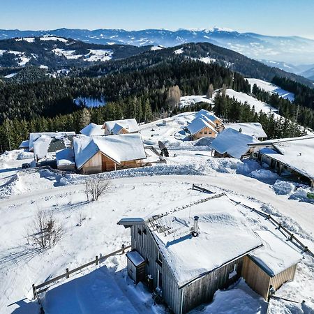 1A Chalet Eck - Wandern, Grillen, Panorama Sauna! Klippitztorl المظهر الخارجي الصورة